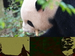 CHINA__0043