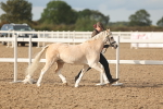 SBM_08604