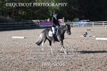 BPP_9004