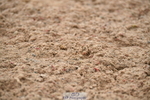 260829B-112529-00517