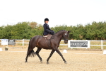 SBM_004636