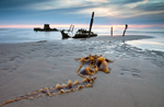 Beached