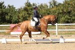 SBM_006583