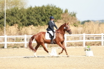 SBM_017021