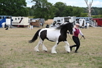 WJ6_5376