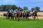 Race 2 14.08pm William Hill Summer Cup Handicap portfolio