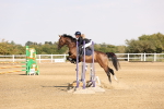 SBM_002115