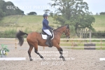 BPP_6273