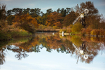 EF6A9877_Autumn Reflections