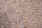 250511-100318-13042