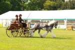 SBM_02651