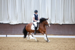 SBM_000849