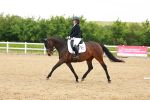 SBM_006015
