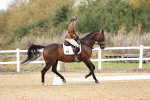 Class 16 - Novice 5 - 11.12-12.01 portfolio