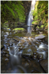 Cranny Falls (IMG0610)