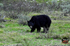 3HPhotography5-20-25_GTNP_352_
