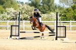 SBM_007051
