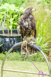 0628 IMG_6546