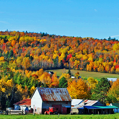 A farm in rural Queens County, New Brunswick basks in peak autumn splendor.