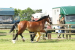 SBM_02341