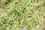 230820A-134200-00283