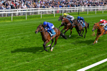 130626-Race 5-Inner City Blues-1794
