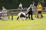 SBM_02495