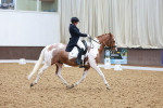 SBM_021672
