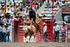 3HRodeo7-20-25_CFD_03294_