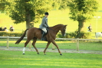 SBM_55649