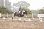 SBM_004793