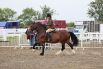 SBM_21375