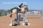 BPP_1292
