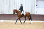 SBM_003302