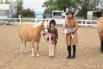 Class 13 Young Handler portfolio