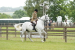 SBM_12654