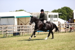 SBM_17875