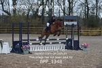 CLASS 5 Pony BritiNovice / 0.80m Open portfolio