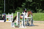 Class 13: Pony British Novice/80cm open portfolio