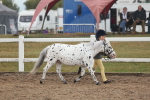 SBM_08437