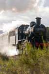 Strathspey Railway