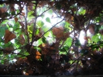 Raymark Industries (Manheim, PA) | Window Detail