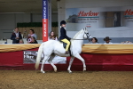 SBM_15899