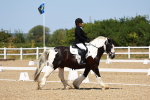 SBM_011570