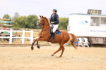 SBM_007409