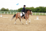 SBM_006443