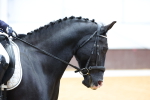 SBM_003346