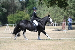 WJ7_0970