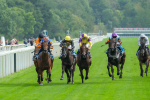 080925-Race 4-Zain Blue-9027