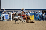 3HRodeo8-11-25_PRCASteer_05307_